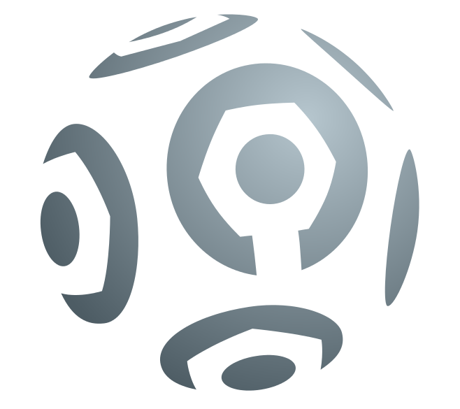 French Ligue 1